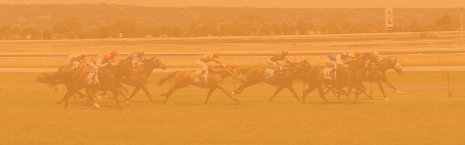Horse Racing Betting Sites India